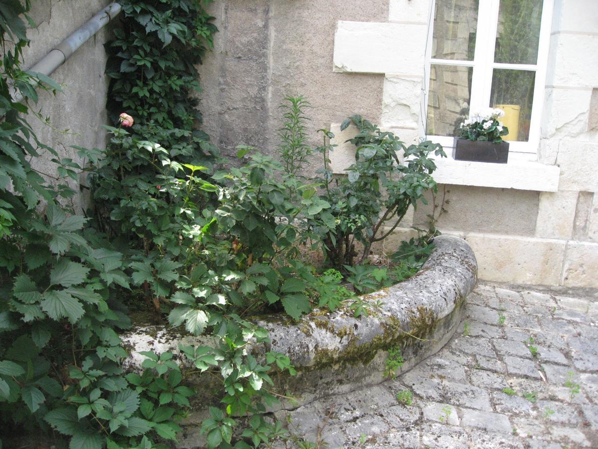 Villa La Chevalerie Blere Esterno foto